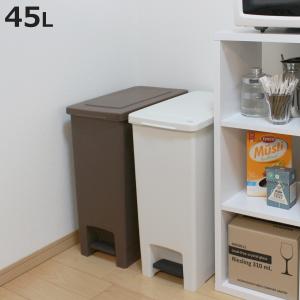 ゴミ箱 45L エバン ペダルペール ふた付き ...の商品画像