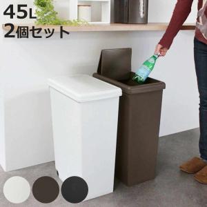 ゴミ箱 45L 同色2個セット スライドペール 無地 ふた付き （ ごみ箱 45リットル スリム スライド蓋 キッチン 分別 縦型 2個 まとめ買い セット ）｜colorfulbox