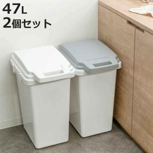 ゴミ箱 47L 2個セット 抗菌 防臭 密閉 ふた付き ロック機能 （ ごみ箱 47リットル 2個 臭わない パッキン ハンドル 抗菌加工 おむつ 連結可能 室内 ）