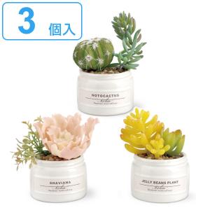 フェイクグリーン 3個入 Cset エクリア CT触媒 観葉植物 （ ミニ 人工観葉植物 造花 ）｜colorfulbox