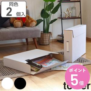 特典付き 山崎実業 tower 作品収納ボックス タワー 2個組 （ 4903208053105 メモリアルボックス 収納ケース 押入れ収納 A2 おしゃれ 取っ手付き yamazaki ）