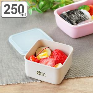 HAKOYA 弁当箱 保存容器 250ml S ひのきのぷら ランチプラス 長方形