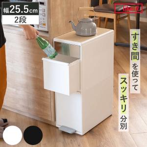 東谷 ゴミ箱 45L 分別 一体型 スリム キャスター付き ごみ箱 シンプル