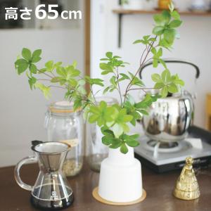 フェイクグリーン ドウダンツツジ L 人工観葉植物 エクリア