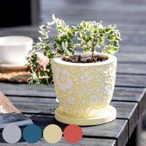 プランター クッカ ポット M （ 植木鉢 プラントポット 鉢植え 鉢 寄せ