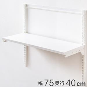 壁面収納 棚 幅75cm×奥行40cm TSセット フィットラック （ 棚板 木製 DIY 収納 可動棚 オープンラック 収納ラック ）｜colorfulbox