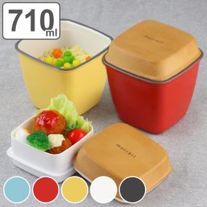 宮本産業 ランチボウル どんぶり弁当箱 2段 Have a Lunch ドット 700ml