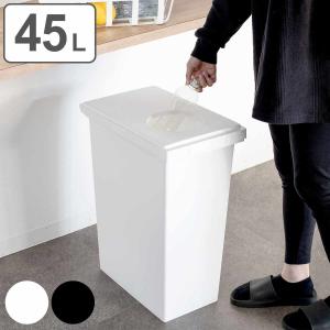 ゴミ箱 45L ユニード ロック＆プッシュ ふた付き （ 45リットル 45l 密閉 臭わない パッキン ごみ箱 幅27 ダストボックス 分別 棚下 スリム キッチン ）