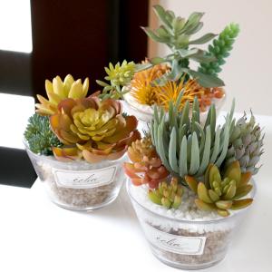 フェイクグリーン エクリア 消臭アーティフィシャルグリーン Lサイズ （ 観葉植物 フェイク 人工観葉植物 多肉植物 CT触媒 消臭 防汚 抗菌 造花 風水 ）