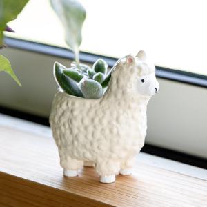 Disney（ディズニー） フラワーポット ミッキーポット （ ガーデン