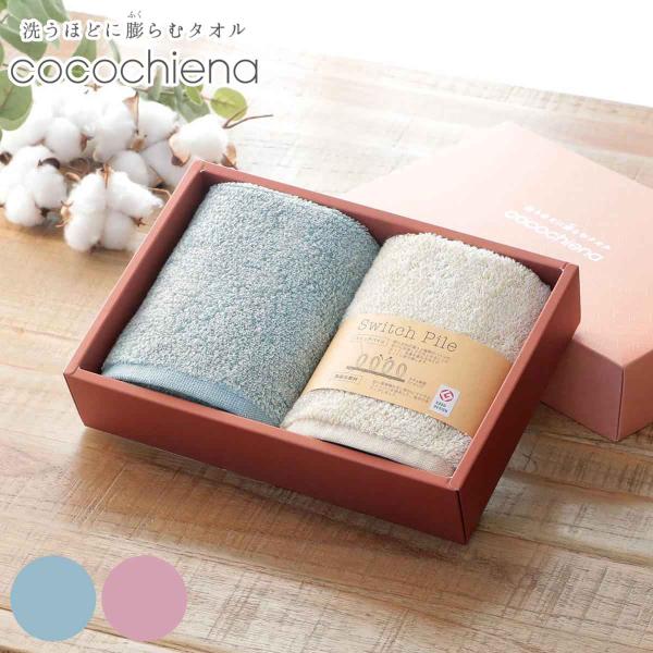 タオル ギフト ココチエナ ハンドタオル 2枚 （ タオルハンカチ デイリー 手拭き 手洗い coc...