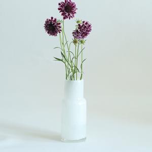 花瓶 DGボトルベース 直径7.5×高さ18cm ホワイト ガラス （ おしゃれ 花器 花びん 一輪挿し フラワーベース 円形 丸 インテリア 生け花 植物 お花 ）｜colorfulbox