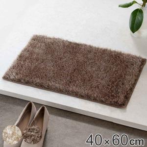 玄関マット 室内用 40×60cm シャギーマット