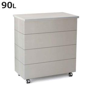 ゴミ箱 90L CUBOID ダブルステンレス蓋...の商品画像