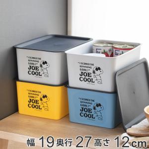 小物入れ 収納ボックス 宝箱 レザー調 （ 幅30×奥行20×高さ25cm 収納