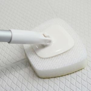 アイセン（aisen） バスブラシ マグネットバスブラシ トレピカ BMG01