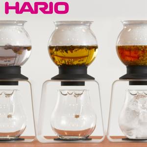 HARIO（ハリオ） 煎じ器 マイコン煎じ器 N （ 漢方 自動煎じ器 薬膳