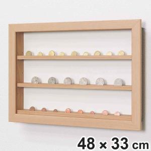 コレクションケース 62.9×47.9cm 壁掛け カバー扉 カード コイン 収納