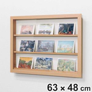 コレクションケース 62.9×47.9cm 壁掛け カバー扉 カード コイン 収納