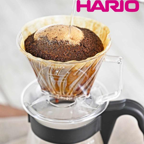 ハリオ ドリッパー コーヒーフィルターセット 2〜4杯用 ペガサス プラスチック （ HARIO 食...