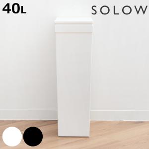 ゴミ箱 40L SOLOW 袋の交換が楽なダストボックススリム （ ソロウ ごみ箱 40リットル ふた付き スリム 袋交換 簡単 分別 ）｜colorfulbox