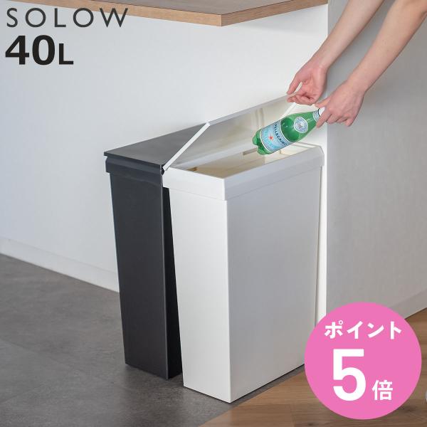 ゴミ箱 40L SOLOW 袋の交換が楽なダストボックスワイド （ ソロウ ごみ箱 40リットル ふ...