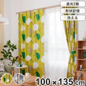 カーテン 遮光2級 テクテクキーウィ 100×135cm スミノエ 形状記憶加工 ウォッシャブル （ ドレープ 1枚 2級遮光 遮光 既製品 キーウィ 柄 ）