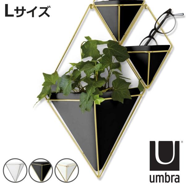 Umbra プランター ウォールオーガナイザー L トリッグ （ 植木ポット プラントポット 植物用...