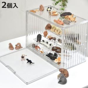 ナカバヤシ 【送料無料】Nakabayashi コレクションケース プラス