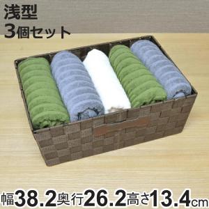 ちどり産業 PPストラップバスケット SF-903 ベージュ (幅38×奥行26×高