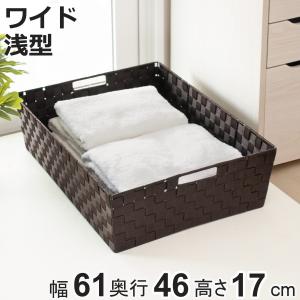 バスケット 収納 PP 角型 約幅25×奥行18×高さ7cm （ かご カゴ 収納