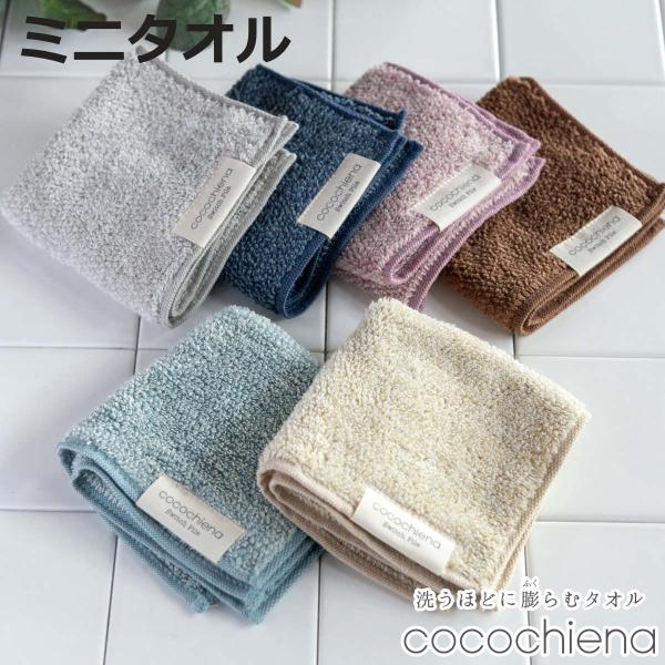 ミニタオル ココチエナ2 25×25cm （ タオル タオルハンカチ 手拭き 手洗い 綿100 co...