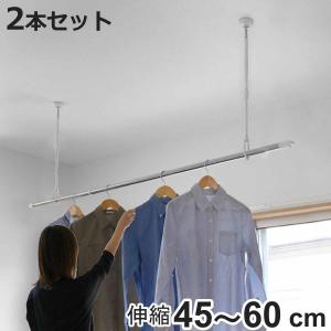 タカラ産業 室内物干し 吊下げ型室内物干 長さ45cm〜60cm 伸縮 2本