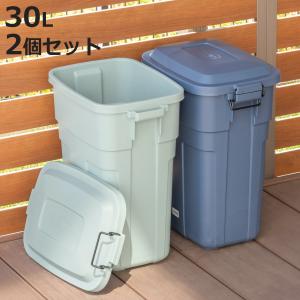 ゴミ箱 ロック付き 30L プラスチック （ ごみ箱 30リットル 丈夫 屋外