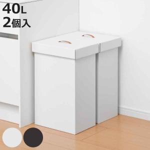 Hailo（ハイロ） ビッグボックススウィングXL ゴミ箱 52L 四角型