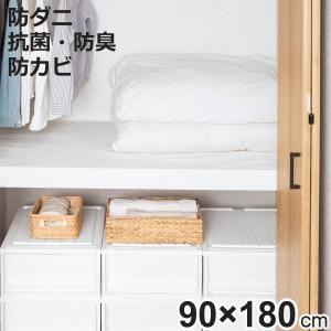 押入れシート 敷きズレ 防虫 クローゼット 収納 （ 180×90cm シート 押し入れ 床 消臭 抗菌 防カビ 棚 日本製 奥行90 すべり止め加工 押し入れシート ）
