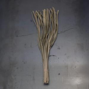 ドライフラワー CASTO PALM LAZER NATURAL （ パーム ヤシ 枝 枝物 インテリア 花材 ナチュラル おしゃれ オブジェ ディスプレイ ）