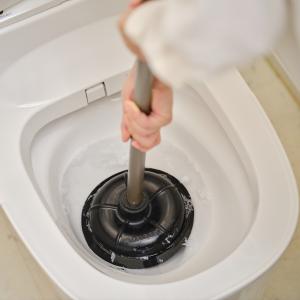 ラバーカップ リング付き 2989.jp+ 便器...の商品画像