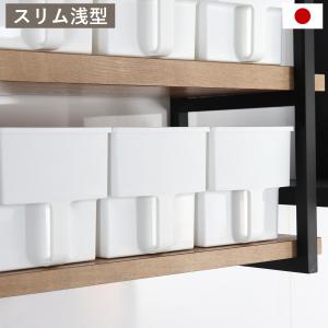 キッチン収納ケース 吊り戸棚ボックス スリム 浅型 幅18.5cm （ キッチンストッカー 取っ手付き 吊戸棚 ケース 吊戸棚ボックス 吊り戸棚ストッカー ）