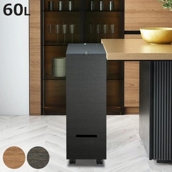 ゴミ箱 60L 2段 バスクグランデペール （ ごみ箱 木目調 60リットル 袋 見えない くず入れ...