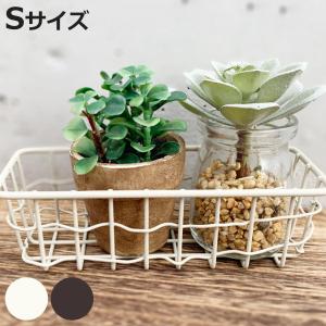 HABITER（アビテ） かご スウェル トレー S 小物入れ 幅17×奥行7×高さ
