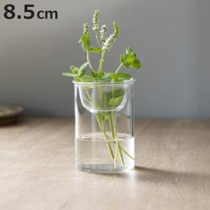 花瓶 MINI BULB VASE 水栽培ガラスベース 8.5cm 水耕栽培 （ 花器 ガラス おしゃれ フラワーベース 一輪挿し 花 クリア ）