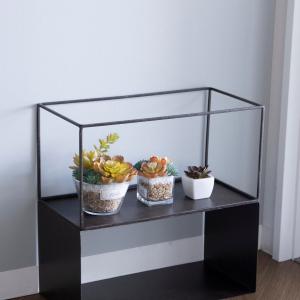 フレーム ジョセフアイアンフレーム レクト 40×20×20cm （ ディスプレイ 棚 フラワーラック 飾り台 アイアンフレーム ）