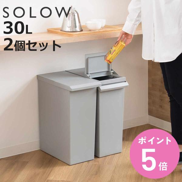 特典付き SOLOW 棚下で使える スリムダストボックス レバーオープン30L （ ごみ箱 30リッ...