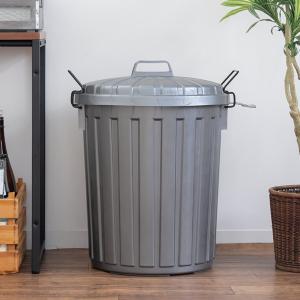 WESCO プッシュビン PUSHBOY (プッシュボーイ) 50L プッシュ式 ゴミ箱