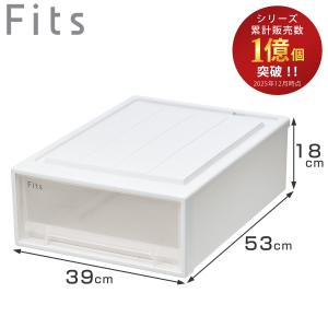 Fits 透明衣装ケース 2個セット Fits 収納ケース 2個セット 幅44×奥行74×高さ30cm フィッツケース