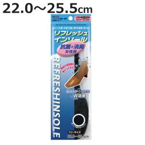 インソール リフレッシュ 22.0〜25.5cm 抗菌 消臭 女性用 フリーサイズ （ ソール 中敷き レディース 強力消臭 防臭 銀イオン 活性炭 革靴 シューズ 靴 ）