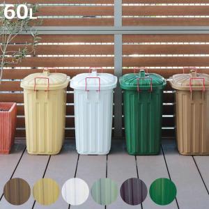 ゴミ箱 60L 屋外 ふた付き PALE×PAI...の商品画像