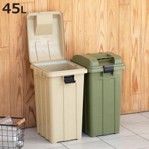 ゴミ箱 45L 屋外兼用 連結ハンドルペール （ ごみ箱 45リットル 屋外 屋内 大容量 連結可能 ハンドル 外用 大きい ふた付き シンプル おしゃれ ）