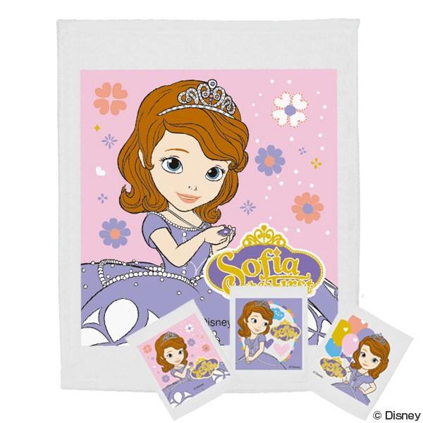 おしぼりタオル　ちいさなプリンセスソフィア　3柄　3枚セット　子供用　キャラクター （ おしぼり ハ...